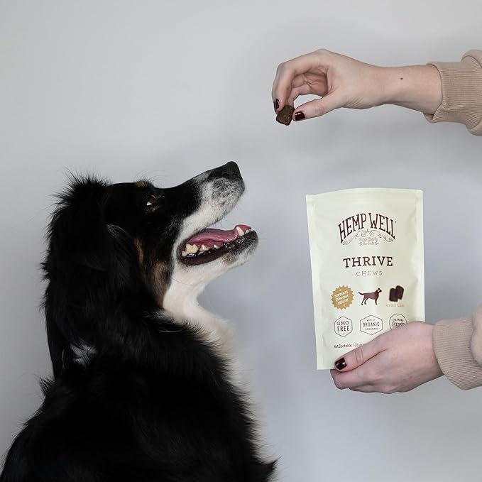 Hemp Well Thrive Chews for Dogs – Supports Hip, Joint, and Heart Health, Promotes Immune Support, Strengthens Skin and Coat, Organically Sourced – 60 Count