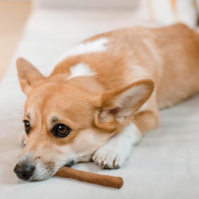 Wildfang® Coffee Wood Dog Chew, XS - Tough Chew Toys for Aggressive Chewers, Dog Teething Toys for Puppies, Training for Chewing Muscles, Coffee Tree Sticks for X-Small Dogs (Under 22 lbs)