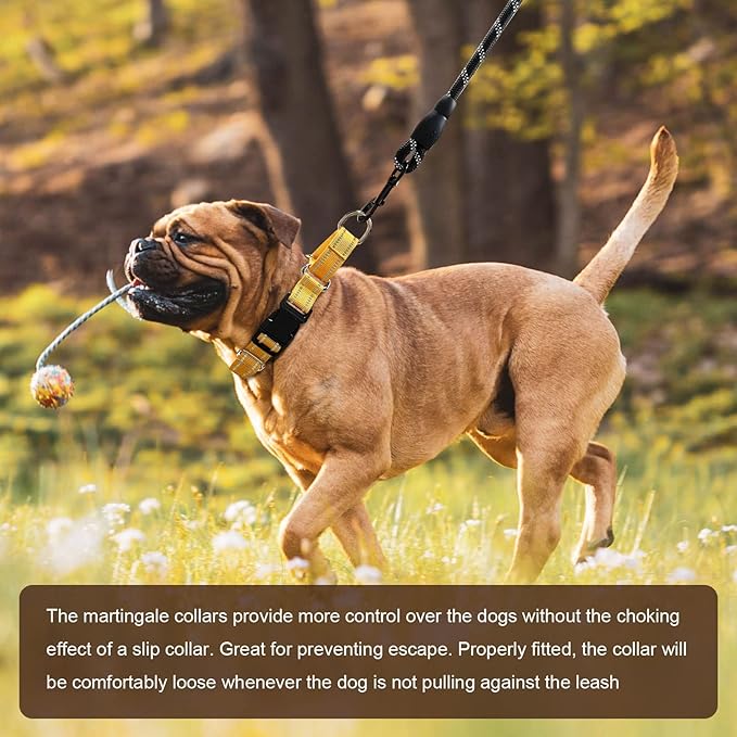 Hikiko Martingale Dog Collars Reflective Nylon Dog Collar with Quick Release Buckle Adjustable Training No Slip Dog Collar (Small, Yellow)