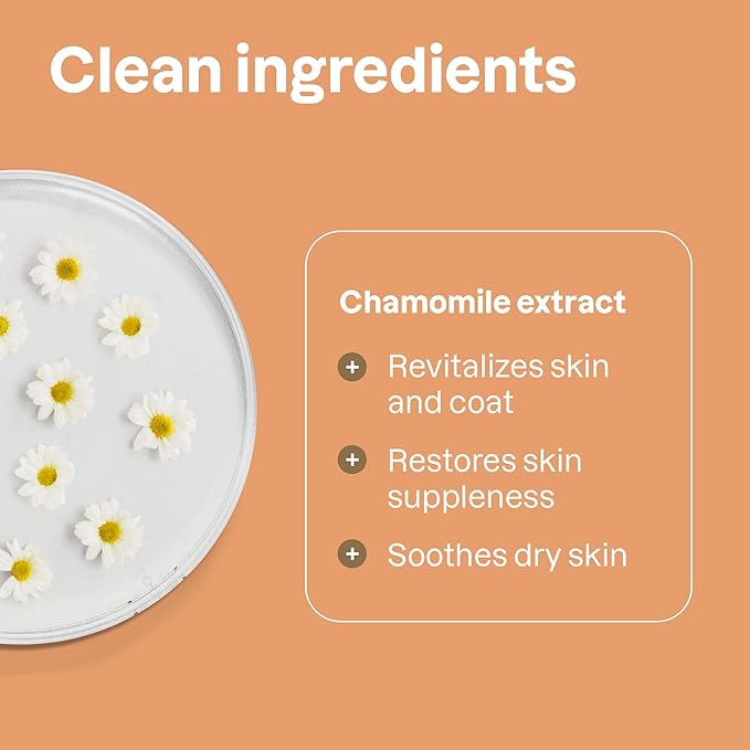 ATTITUDE Natural Deodorizing Shampoo for Cat & Dog, Vegan and Cruelty-Free, Grooming Products, Lavender, 16 Fl Oz (Pack of 4)