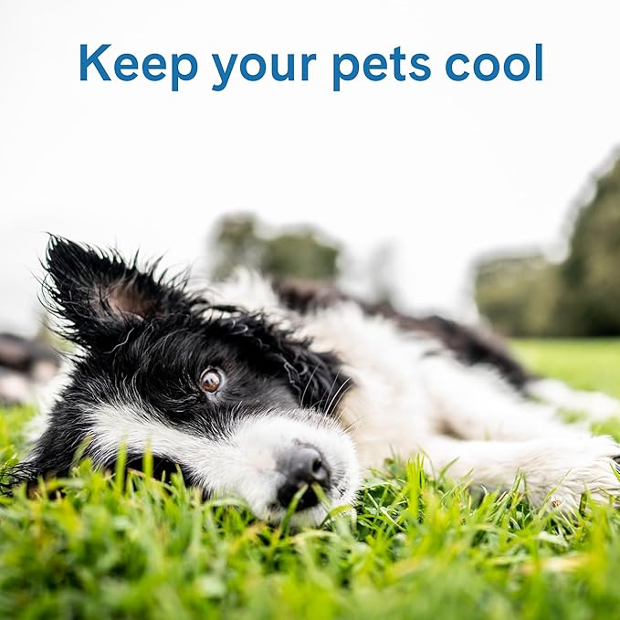 The Green Pet Shop Cool Pet Pad - Medium, Disney’s Stitch - Self-Cooling, Pressure Activated Mat for Dogs & Cats from 21-45 lbs - Non-Toxic Gel, No Water Needed