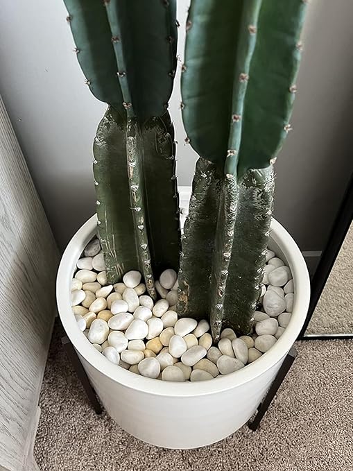 11Lbs Natural River Rocks for Plants 1''-2'' Large Landscaping Garden Stones White Aquarium Gravel for Decorative Pebbles for Indoor Outdoor Planters, Big Terrarium Rocks in Bulk, Home Decor