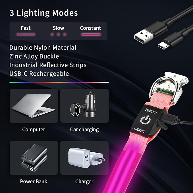 LED Dog Collar with Metal Buckle - USB Rechargeable Glow Collar for Dogs, Waterproof Light Up Dog Collar w/Reflective Strips - Adjustable Night Safety Collars by PetIsay(Pink,Large)