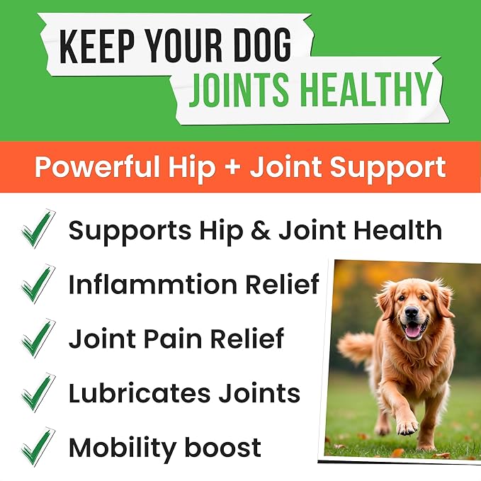 Advanced Hemp Hip & Joint Supplement for Dogs - Glucosamine for Dogs - Dog Joint Pain Relief Treats - Chondroitin Turmeric MSM Hemp Oil - Hemp Treats for Joint Health - Senior Mobility Support Chew