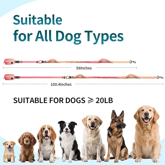 Hands Free Dog Leash with Removable Zipper Pouch, Dual Padded Handles and Durable Bungee for Walking, Jogging and Running-Orange