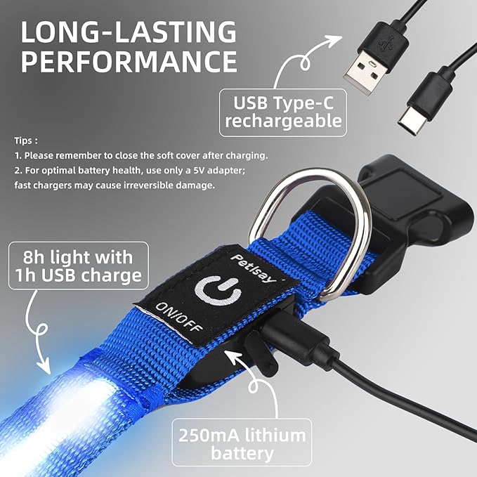 Super Bright LED Dog Collar - Fully Waterproof & Adjustable Glow Collar - USB-C Rechargeable for Night Walking, Safety - Flashing Lighted Collar for Dogs(Blue,Large)