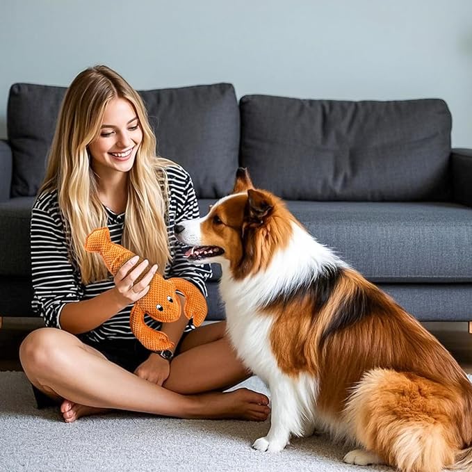 Squeaky Dog Toy No Stuffed Dog Toys,Lobster Puppy Toys for Small Medium Large Breed pups Teething Interactive Toy to Keep Them Busy, Best Christmas Birthday Gift