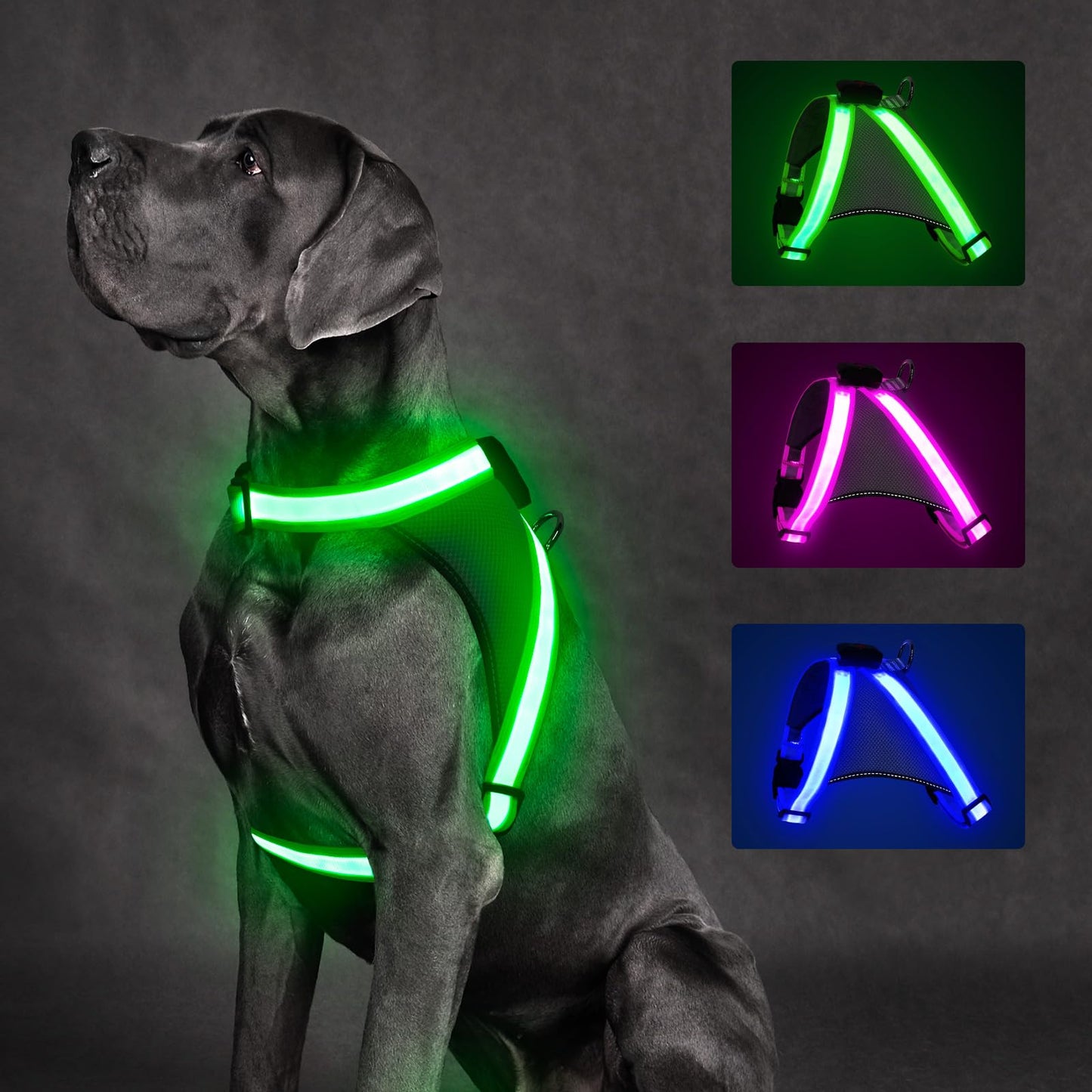 ChalkLit Light Up Dog Harness, No Pull Led Dog Harness Glow-in-The-Dark for Night Walking, USB Rechargeable Lighted Safety Vest for Medium Large Dogs, Adjustable Soft Mesh Fully Illuminated(Green, L)