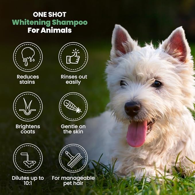 Best Shot One Shot Whitening Shampoo, Coat and Skincare Product for Dog, Cat, and Horse, Brightens Any Color Coat, Removes Stains, 1 Gallon