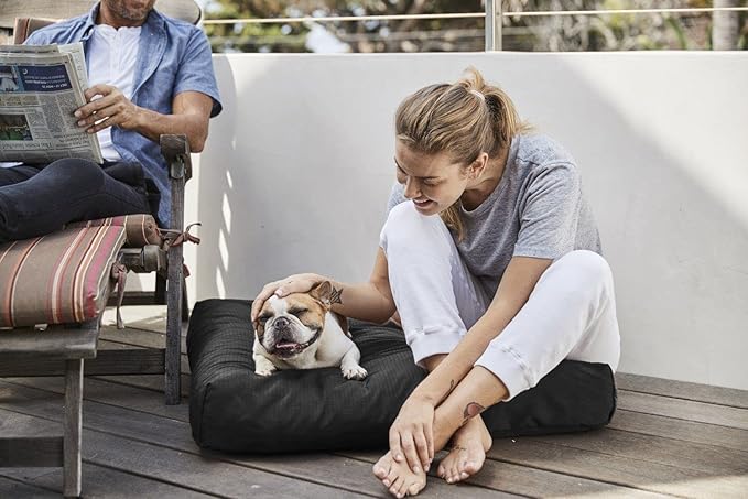 K9 Ballistics Tough Rectangle Pillow Medium Dog Bed - Removable Cover, Washable, Durable & Water Resistant Dog Bed Made for Medium Dogs 33" x 27", Sandstone