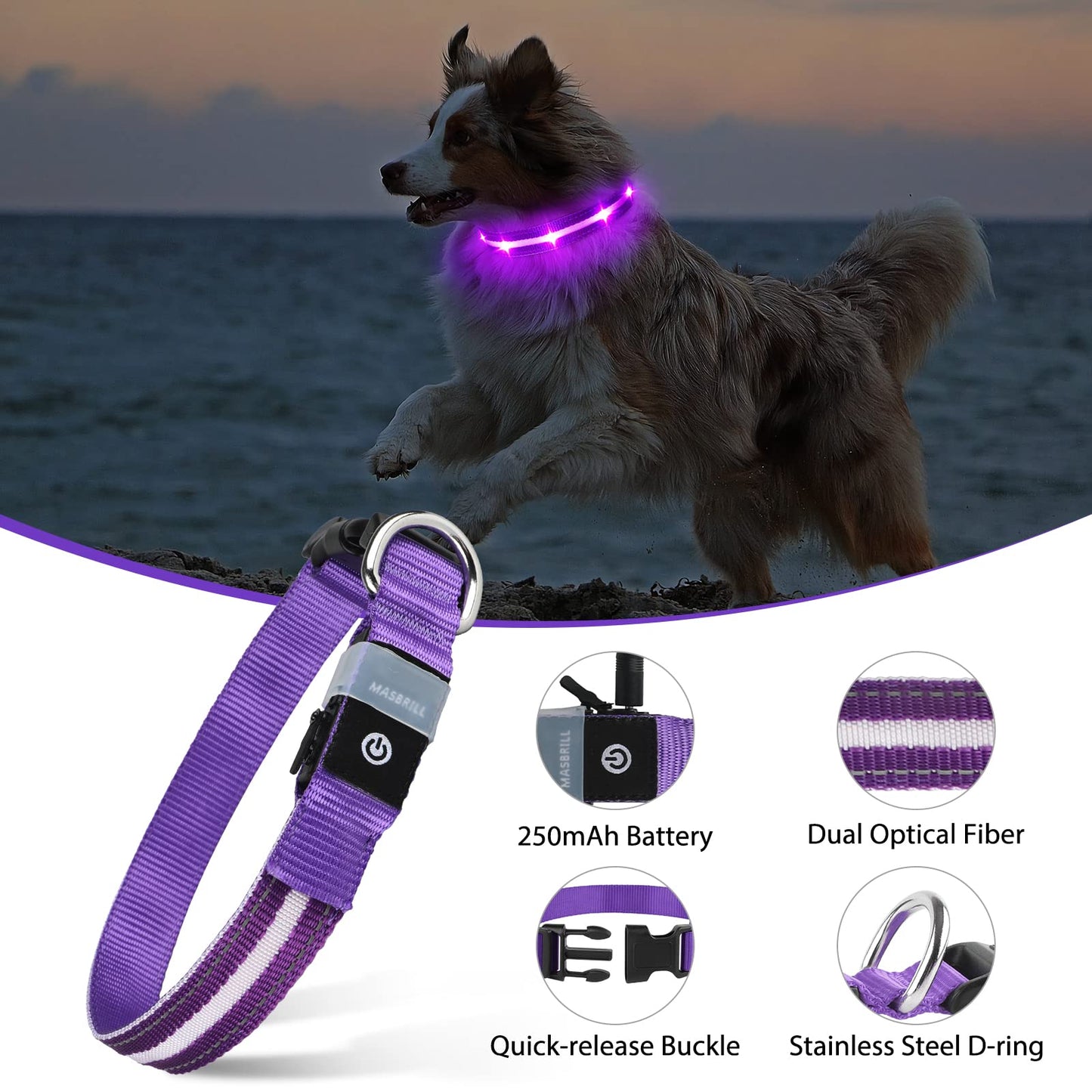 MASBRILL Led Dog Collar, Rechargeable Light Up Collar with Water-Resistant Flashing Glow for Dogs