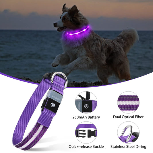 MASBRILL Led Dog Collar, Rechargeable Light Up Collar with Water-Resistant Flashing Glow for Dogs
