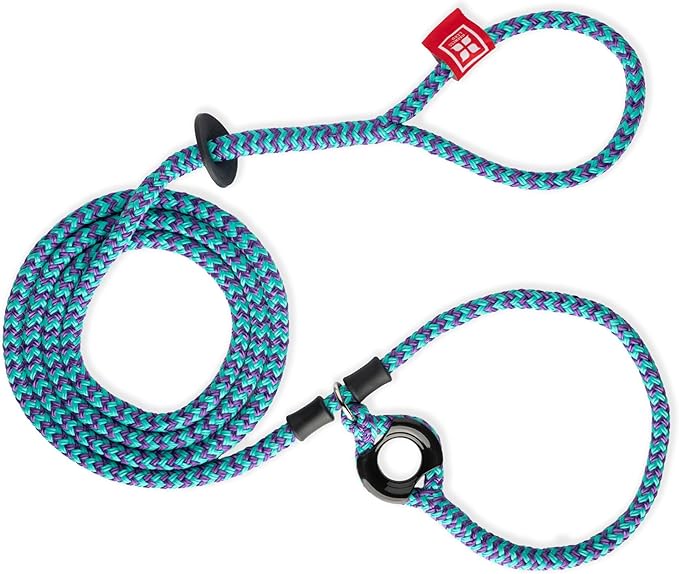 Harness Lead No Pull Dog Harness and Leash Set, Anti Pull Dog Harness, One-Piece Cushioned Rope Safely Prevents Escaping and Pulling *New Insert is Removable (Small/Medium, Purple/Turquoise)
