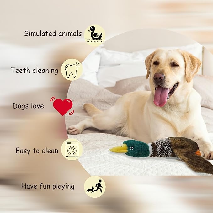 Dog Toys Interactive Mallard Duck Toy Puzzle and Squeaky Toy for Small Medium and Large Dogs Duck Toys, Stuffed Toy for Dog, Plush Toys for Dogs