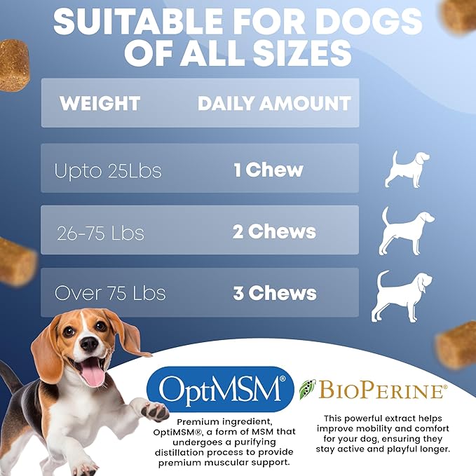 Hip and Joint Supplement for Dogs 120 Dog Chews - Advanced Glucosamine for Dogs - Chicken Flavor Hip and Joint Chews for Dogs - Dog Pain Relief Supplement - Perfect for Small to Medium and Large Breed