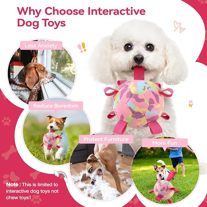 QDAN Interactive Dog Toys, Remote Control, Rechargeable Moving Dog Balls, Puppy Toys to Keep Them Busy, Squeaky Puppy Toys for Small Medium