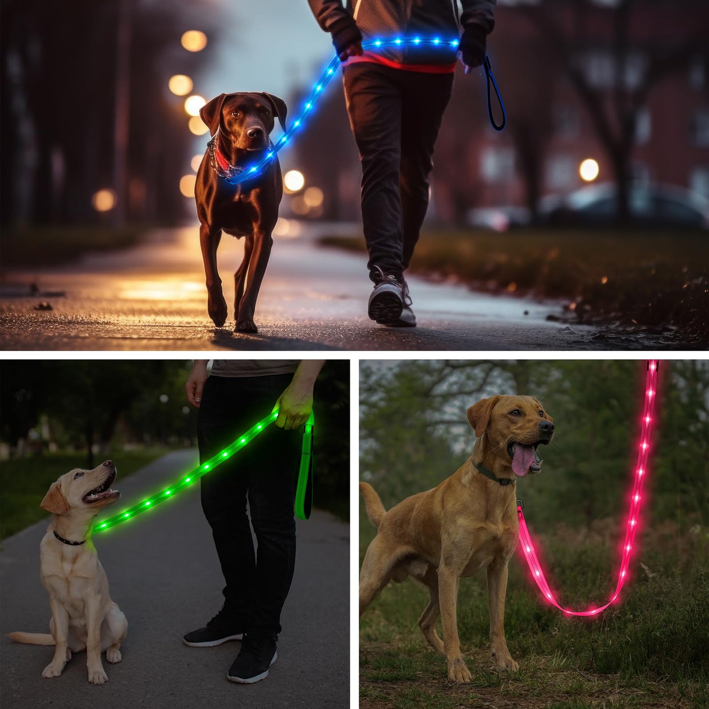Light Up Dog Leash, 5 Ft LED Dog Lead Rechargeable Glowing Pet Leash with Soft Padded Handle, Safety Dog Lights for Night Walking (Blue)