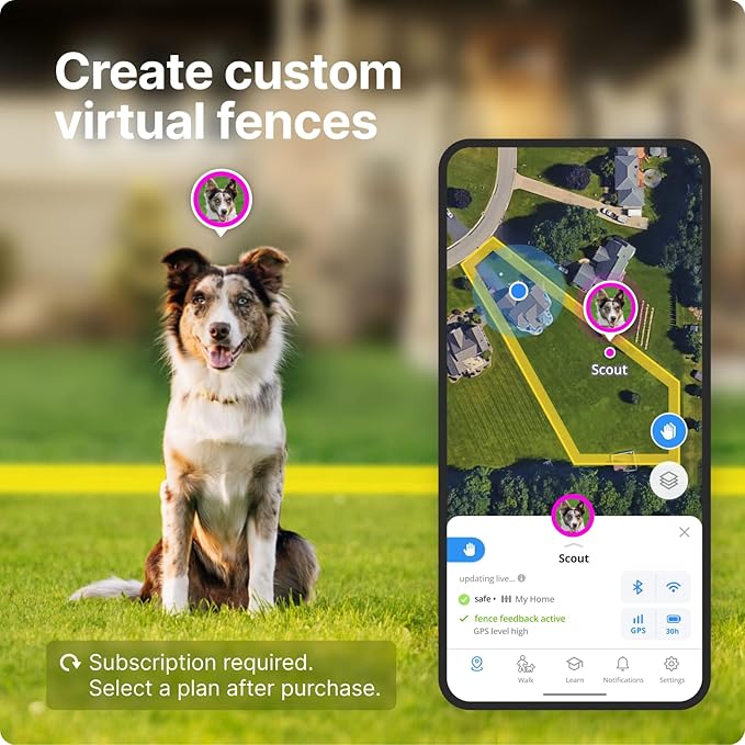 Halo Collar 3, Multifunctional GPS Wireless Dog Fence & Dog Training Collar with GPS Tracker, Subscription Required, Waterproof, Sunburst (Medium/Large)