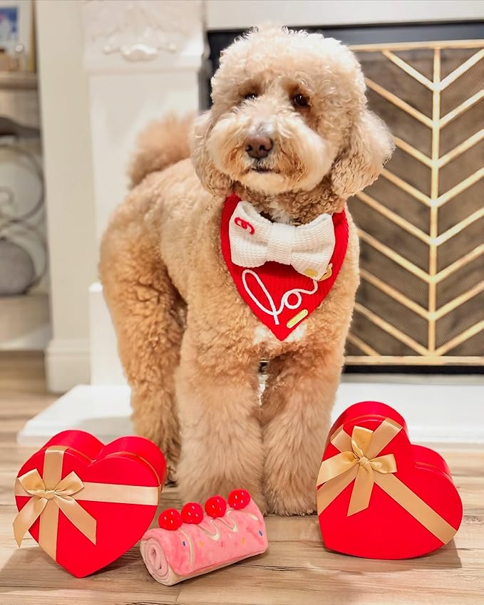 Dog Enrichment Toys, Dog Puzzle Interactive Toy, Puppy Birthday Cake Toy for Boredom and Stimulating, Slow Feeding Snuffle Mat Crinkle Gift for Small and Medium Dogs