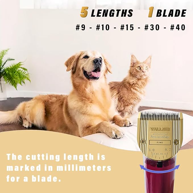 Detachable Adjustable Pet Dog Grooming Clipper 5-in-1 Blade Compatible with WAHL Professional Animal Blade Arco, Bravura, Chromado, Creativa, Figura, and Motion Pet, Dog, and Horse Clippers Golden
