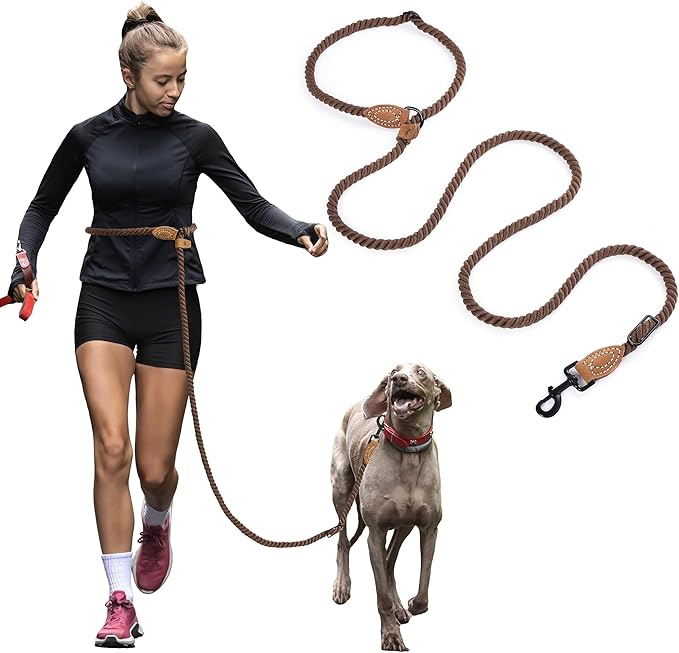 Mile High Life Hands Free Dog Leash, Crossbody Waist Leash with Genuine Leather Connection, Multifunctional Adjustable Slip Lead for Dog Walking Running (Dark Brown, 8FT)