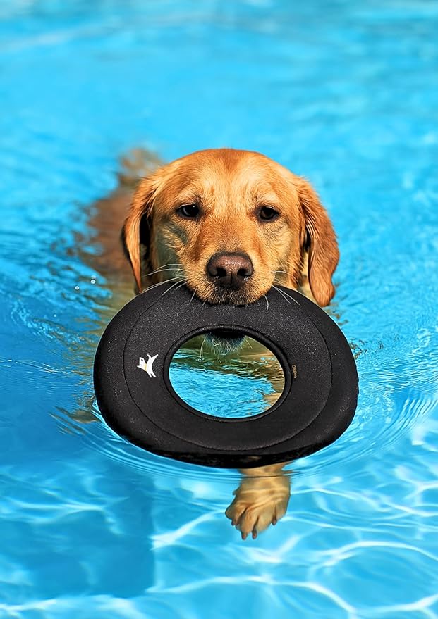 OllyDog Super Flyer | Durable Dog Frisbee | Soft & Lightweight Flying Disc | Gentle on Teeth & Gums | Water-Resistant Outdoor Toy (Raven)