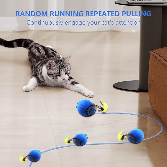 Interactive Cat Toy Balls, 2025 New Automatic Moving Smart Cat Toy Ball, Interactive Pet Toy for Cats, Dogs Indoor, Automatic Rolling Pet Toy(Blue + Orange - 2pcs)