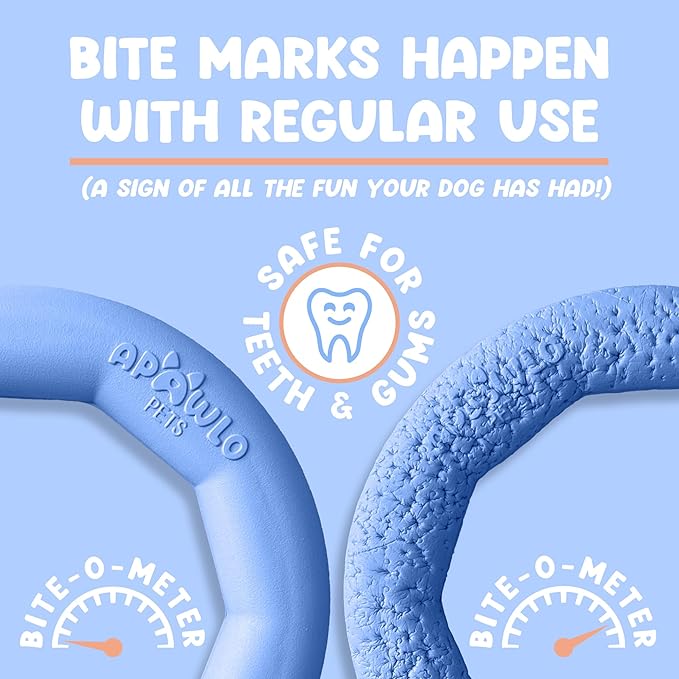 Set of 2 Active Dog Toy Rings - Floating Dog Rings for Outdoor Play, Training & Fetch - Durable Fetch Toy, Frisbee Alt, Outside Yard Toys for Large Breeds - Blue