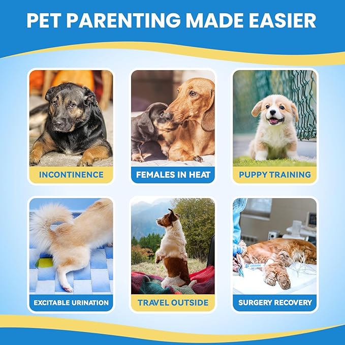 IMMCUTE Female Dog Diapers 30 Count,Super Absorbent Disposable Dog Diapers Female with Flash Dry & Leakproof, Doggie Diapers for Heat Cycle,Excitable Urination (X-Small)