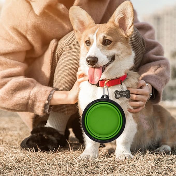 Guardians Large Collapsible Dog Bowls, 34oz Travel Water Food Bowls Portable Foldable Collapse Dishes with Carabiner Clip, 2 Pack (Green+Blue)