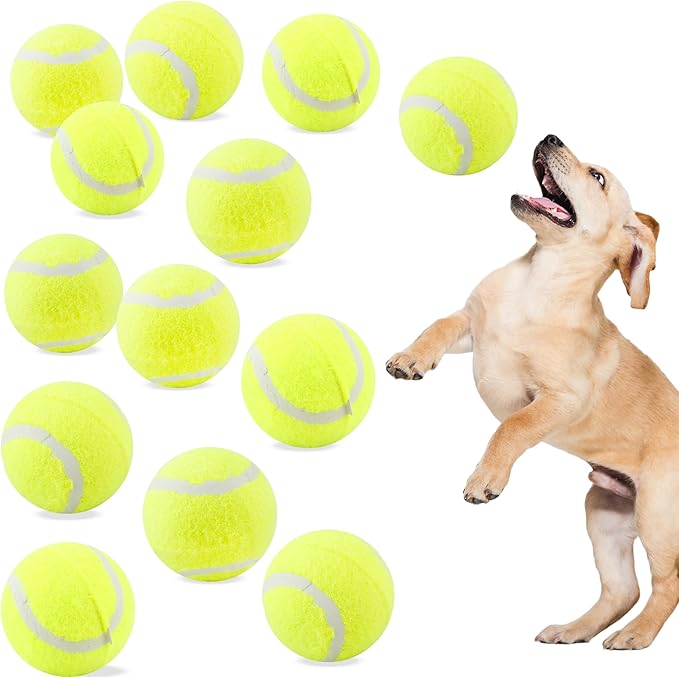 18 Pack 2.4 Inch Pet Mini Tennis Balls Dog Training Tennis Balls Bulk for Indoor and Outdoor Pet Playing Fecth Interactive Training Toys