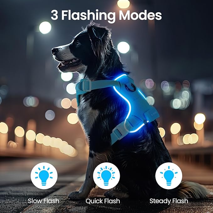Light Up Dog Harness,Reflective Pet Harness Rechargeable,Led Dog Vest Harness for Night Walking,Adjustable Dog Safety Vest for Small Medium Large Dogs-No Pull,Blue,XL