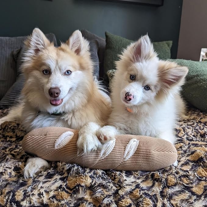 Interactive Squeak Dog Toy, Dog Enrichment Puzzle Toys, Stress Release Game for Boredom, Snuffle Activity Foraging Instinct Training of Dogs