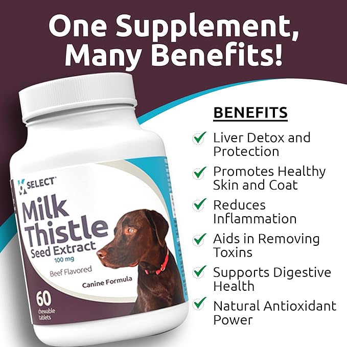 K9 Select Milk Thistle for Dogs, 100mg - 60 Beef Flavored Tablets - Canine Liver Health Natural Milk Thistle Supplement