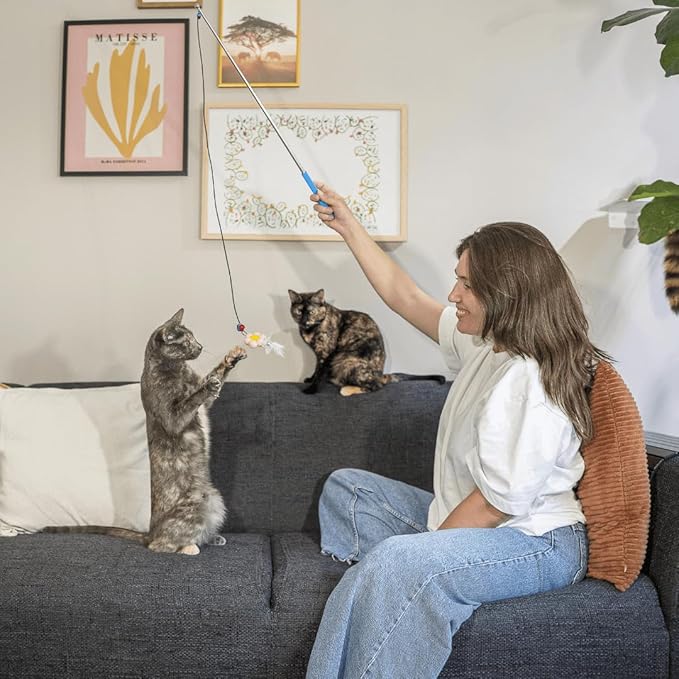 Magnetic Catch Wand (Combo 24" & 40") Cat Toy – Interactive Telescoping Wand for Indoor Cats and Kittens, Magnetic Easy Catch & Release, Durable Enrichment Toy with 3 Lures