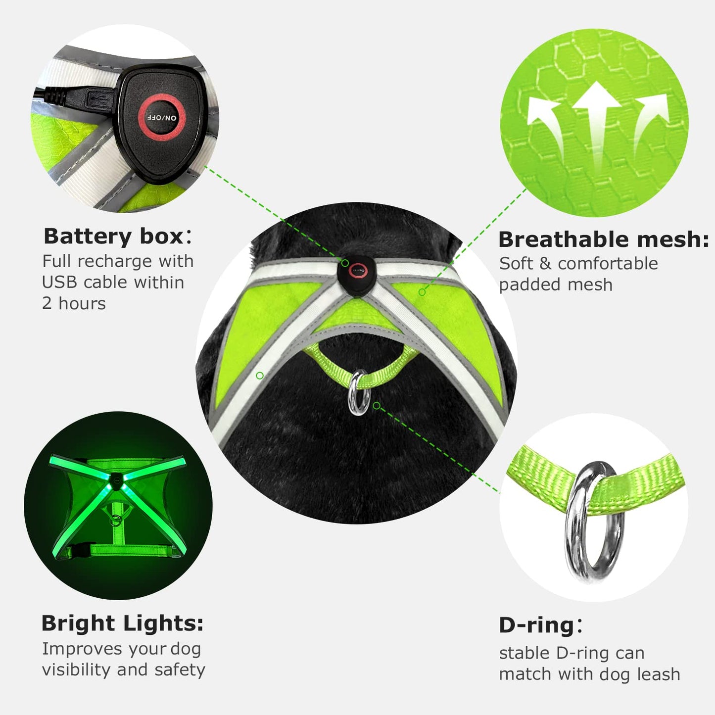 Tripolaco Light Up Dog Harness, High Visibility LED Dog Harness for Night Walking, USB Rechargeable Glowing Dog Harness - Flashing for Small/Medium/Large Dogs (Green)