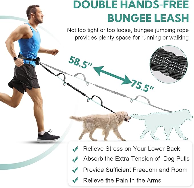 Hands Free Dog Leash with Pouch, Double Leash for Two Dogs, Retractable Bungee with Double Padded Handles, Waist for Dog Walking, Running for Dogs, Dog Walking Accessories
