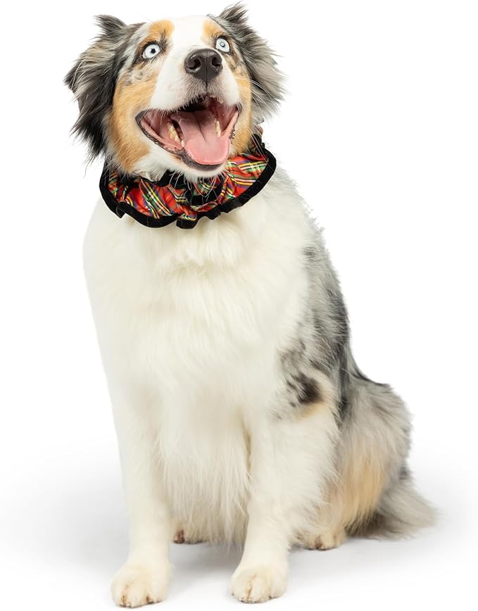 Huxley & Kent Ruff Pet Scrunchy | Shiny Christmas Plaid (Medium) | Festive Christmas/Holiday Neckwear for Dogs/Cats | Fun Stretchable Costume Accessory | Soft Collar with Bells