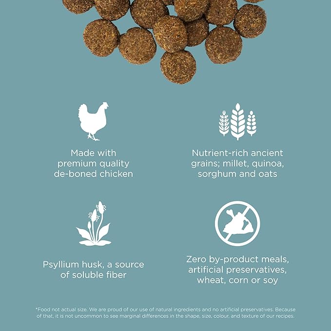 Go! Solutions Digestion + Gut Health, Dry Dog Food, Chicken Recipe with Ancient Grains, 12 lb Bag