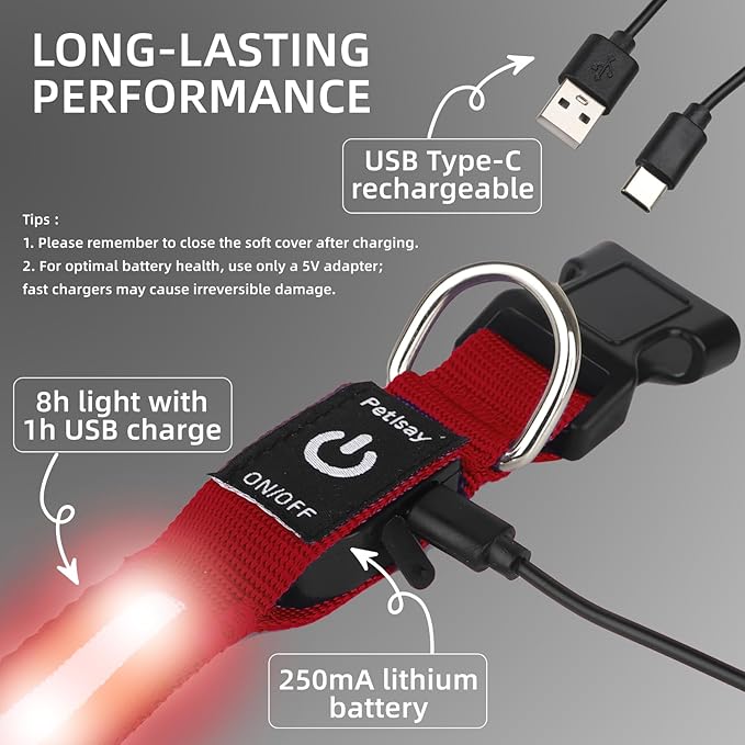 Super Bright LED Dog Collar - Fully Waterproof & Adjustable Glow Collar - USB-C Rechargeable for Night Walking, Safety - Flashing Lighted Collar for Dogs(Red,Medium)
