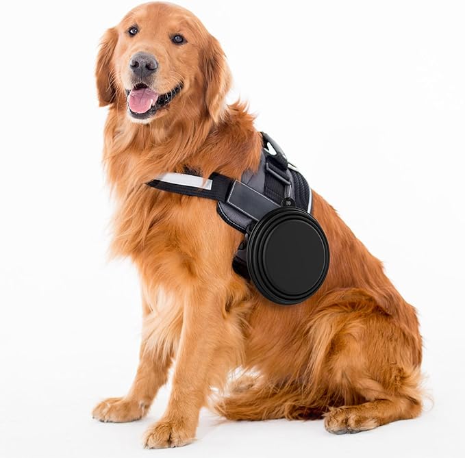 2 Pack Collapsible Dog Bowl Travel Portable Pet Bowls [34oz,1000ml],Expandable Foldable Food Water Feeding Dishes for Traveling Hiking Walking,with Carabiners [Black,Green]