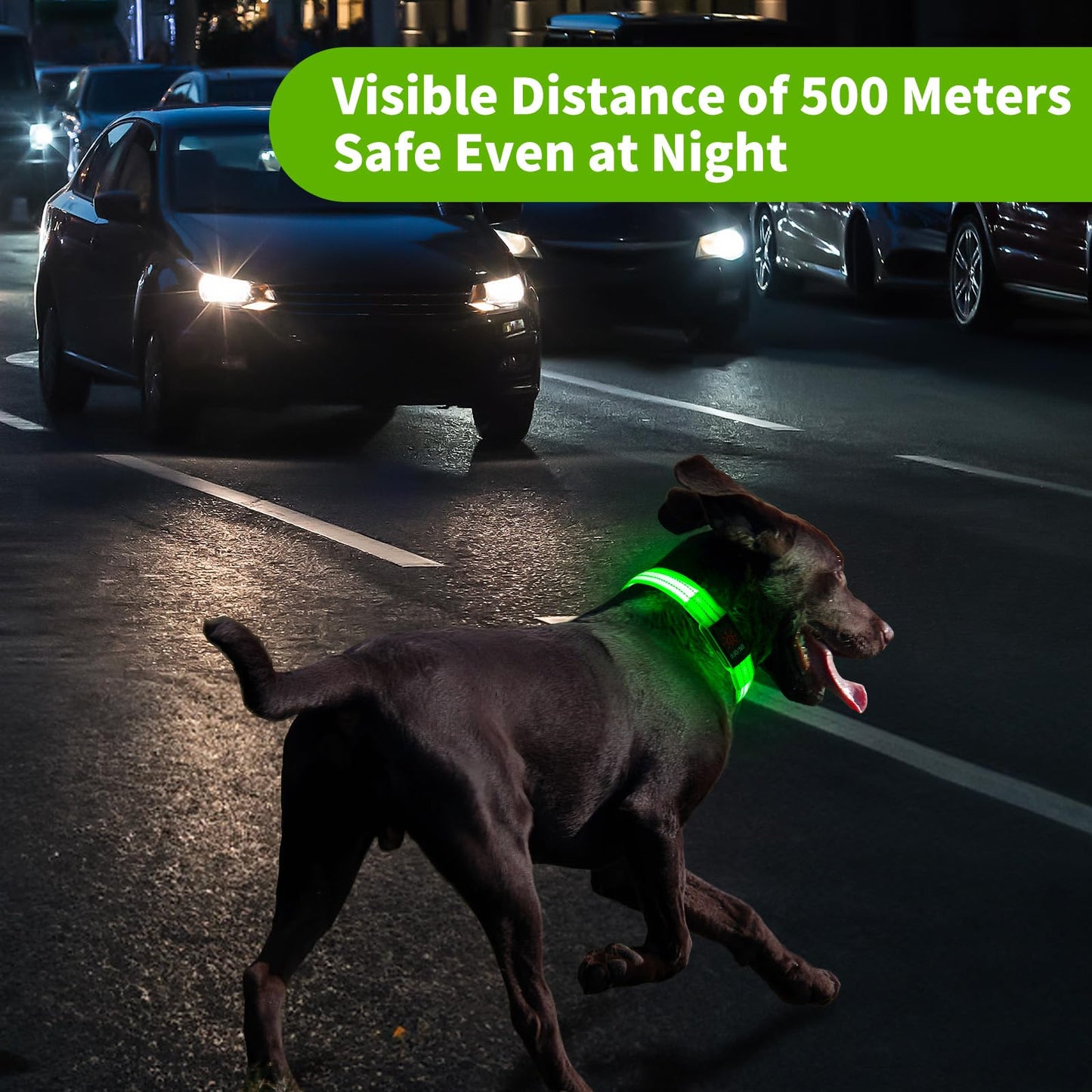 Light Up Dog Collars, LED Dog Collar Light Adjustable USB Rechargeable Super Bright Safety Light Glowing in The Dark Reflective Dog Collar for Medium Large Small Dogs