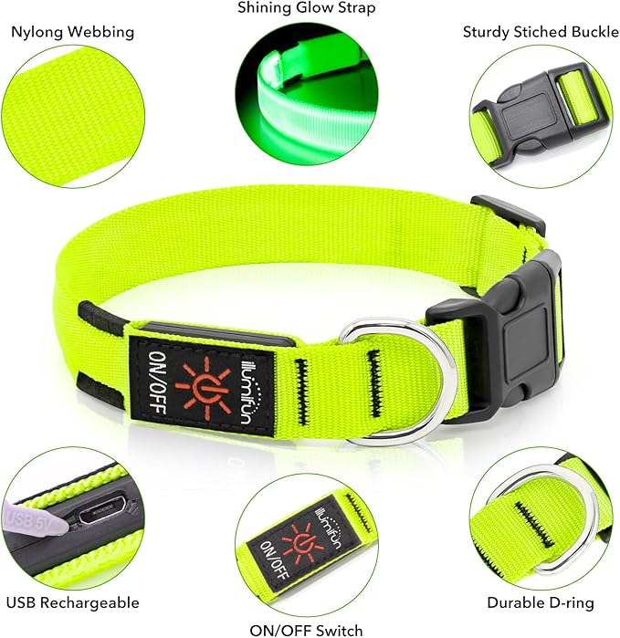 Illumifun Light Up Dog Collar, USB Rechargeable LED Dog Collar Glow in The Dark，Adjustable Pet Safety Lights for Night Walking (Green, Medium)