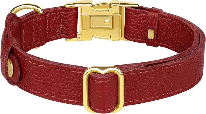 Leather Airtag Dog Collar - Soft Tracking Dog Collar with Apple AirTag Holder and Metal Buckle - Safety GPS Pet Collars for Small Medium Large Dogs Puppy Pink Red (Red, M, 14"-18" Neck Fit)