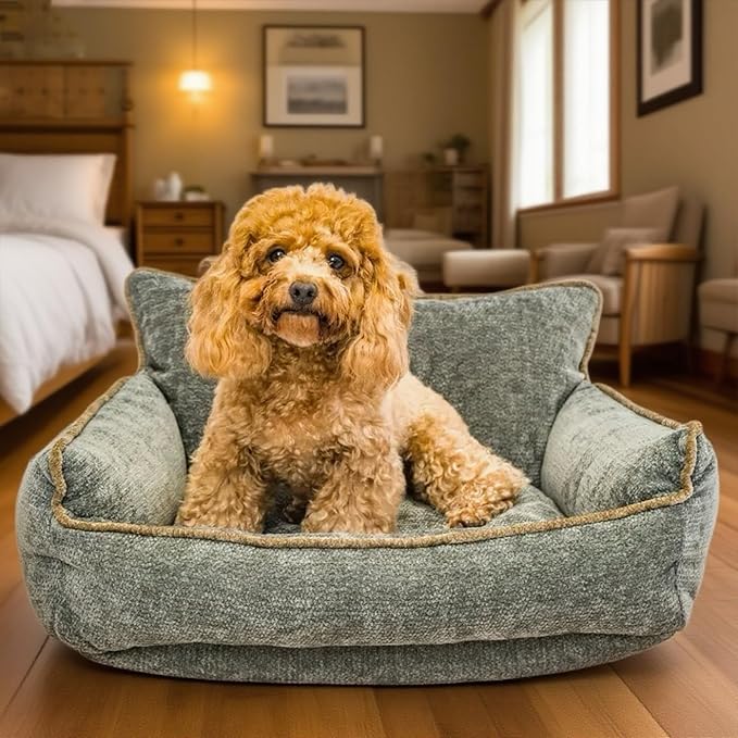 Orthopedic Dog Bed for Small Dogs - Washable Pet Bed with Removable Side Bolsters, Non-Slip Durable, Plush Cat Sofa for Comfort - Soft Supportive Small Dog Sofa (Green)