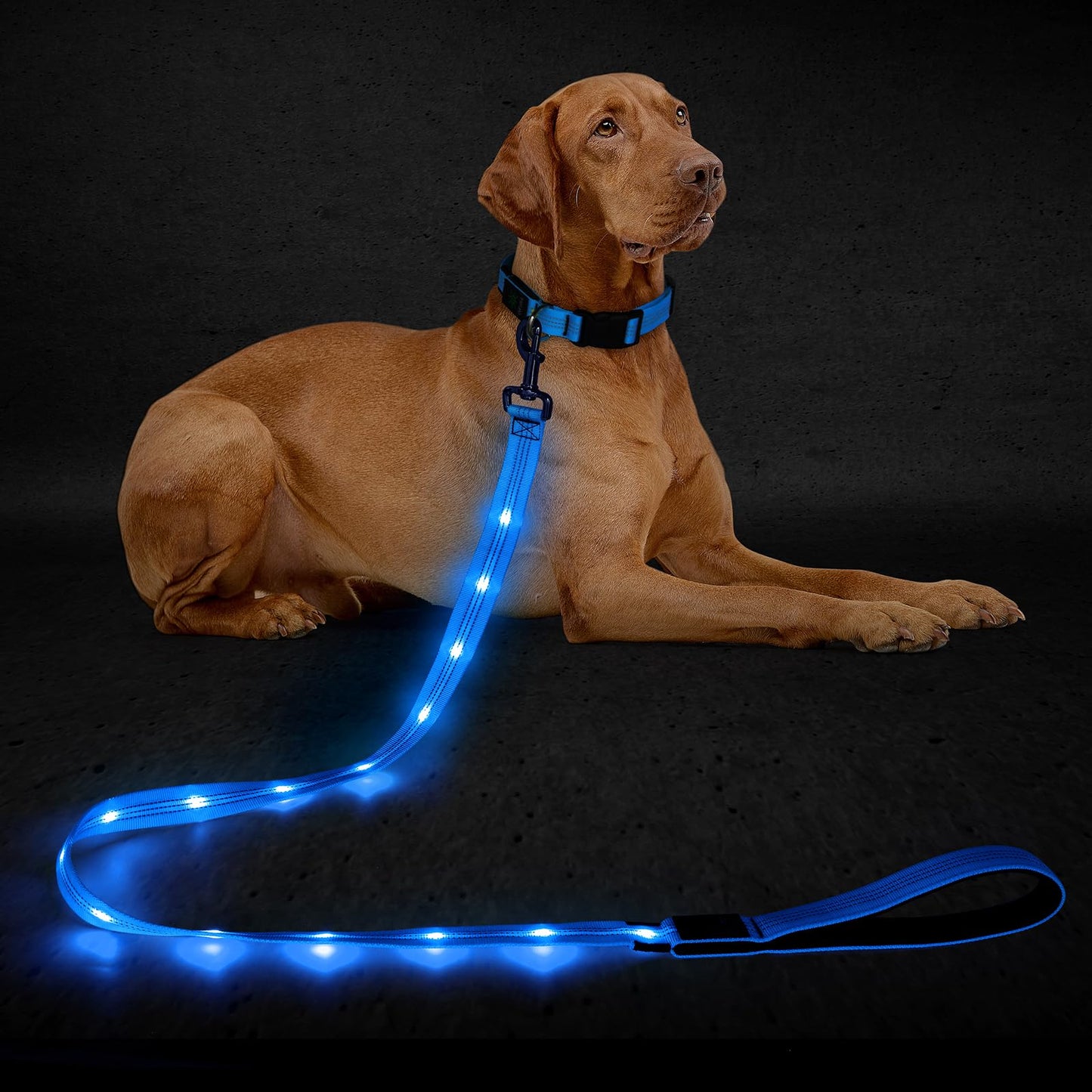 Light Up Dog Leash, 5 Ft LED Dog Lead Rechargeable Glowing Pet Leash with Soft Padded Handle, Safety Dog Lights for Night Walking (Blue)