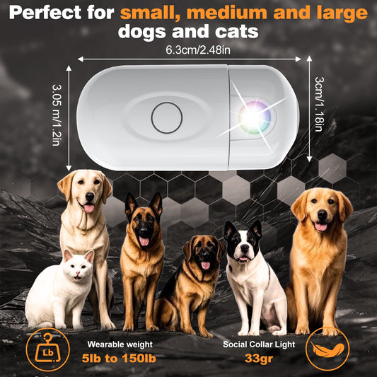 HooBnas Dog Light for Night Walking, 2 Modes Dog Collar Projector Lamp, USB Rechargeable Collar Light for Nighttime Clip on or Wearable for Walking, Running, Camping, Cycling