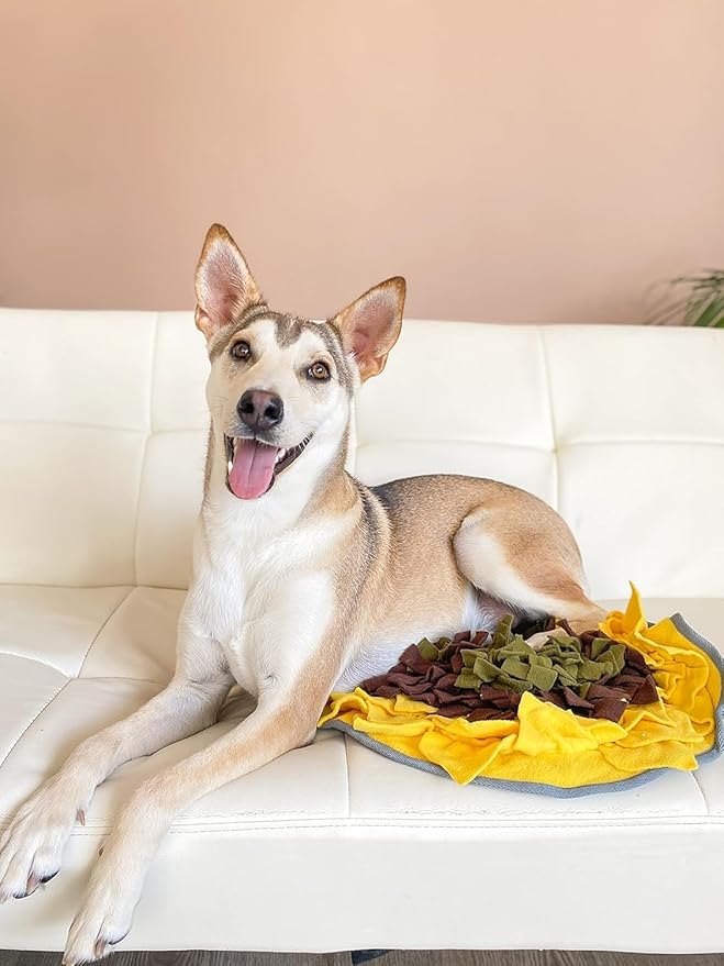 Snuffle Mat for Dogs Sunflower, Large Dog Snuffle Mat 19” x 19”, Plush Enrichment Toy Slow Feeder, Mental Health Puppy Chew Toys to Keep Them Busy, Machine Washable, Snuffle Mat for All Breeds Sizes