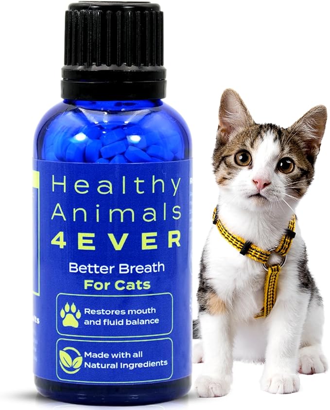 HA4E - Cat Bad Breath Remedy - Promotes Clean Teeth, Plaque & Tartar Control - No Brushing Needed - All-Natural, Non-GMO, Organic, Preservative & Chemical Free - 300 Dissolvable Tablets
