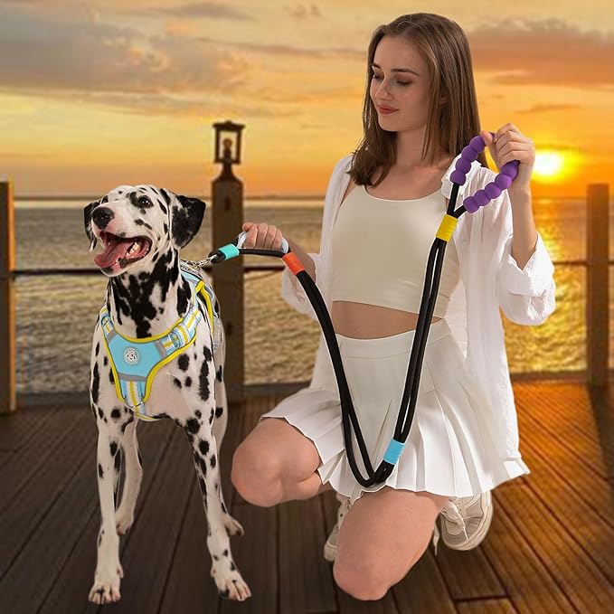 JSXD Dog Leash,5 FT Heavy Duty Dog Training Leash,Double Handle Comfortable Padded Hands Free Dog Leash,Adjustable Crossbody Waist Leash for Small Medium Large Dogs(Black)